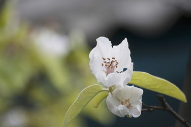 Similar image 21422282