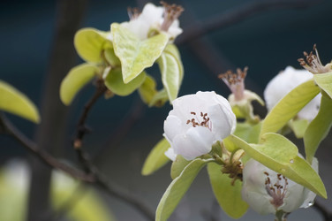 Similar image 21422283