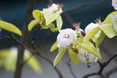 Similar image 21422284