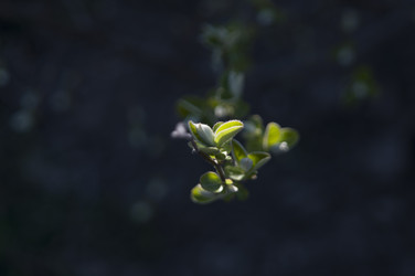 Similar image 21422290