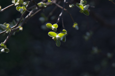 Similar image 21422291