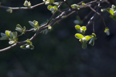 Similar image 21422292