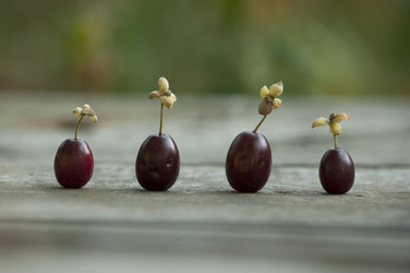 Similar image 21422293