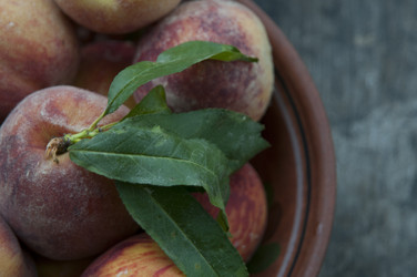 Similar image 21422294