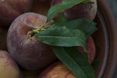 Similar image 21422295