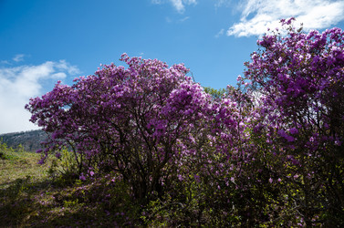 Similar image 21422296