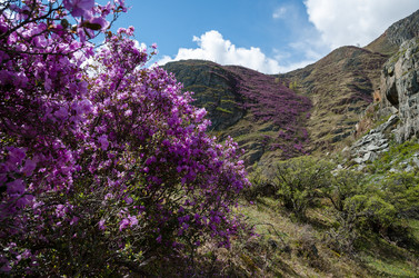 Similar image 21422297