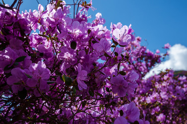 Similar image 21422298