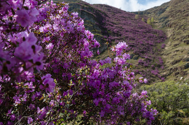 Similar image 21422299