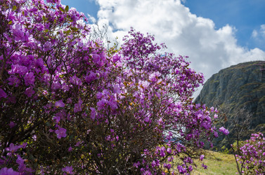 Similar image 21422300