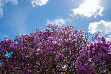 Similar image 21422301