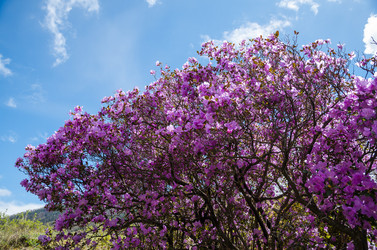 Similar image 21422302