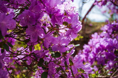 Similar image 21422303