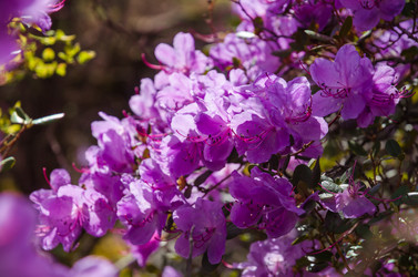 Similar image 21422304