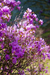 Similar image 21422305