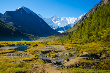 Similar image 21423562