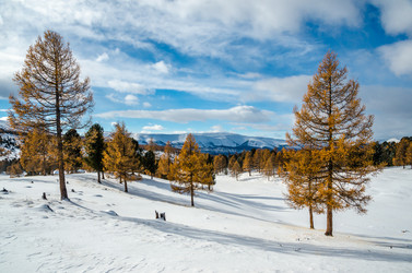 Similar image 21423565