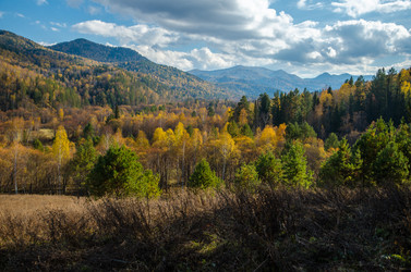 Similar image 21423566