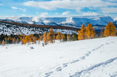 Similar image 21423567