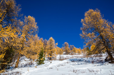 Similar image 21423568