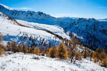 Similar image 21423569