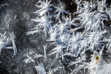 Similar image 21423570