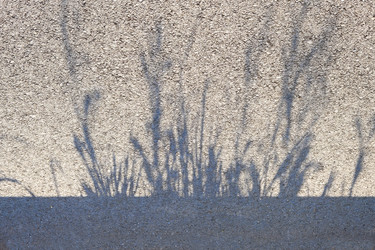 Similar image 21423841