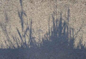 Similar image 21423842