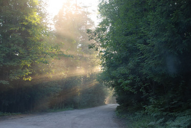 Similar image 21423949