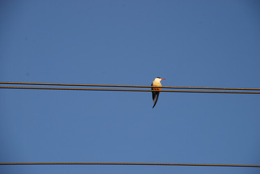 Similar image 21423954