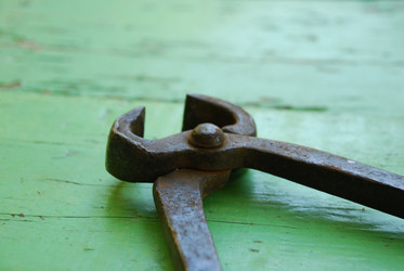 Similar image 21423955