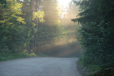 Similar image 21423956