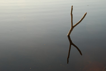 Similar image 21423958