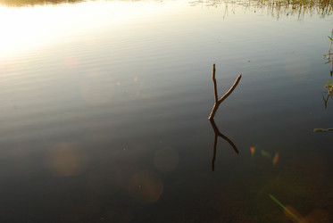 Similar image 21423961