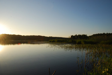 Similar image 21423963