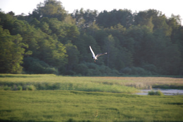 Similar image 21423965