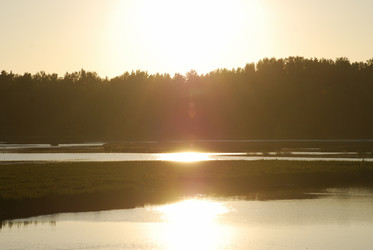 Similar image 21423969