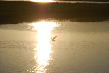 Similar image 21423970