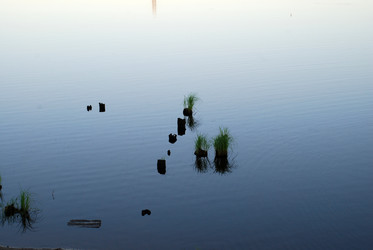 Similar image 21423973