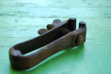 Similar image 21423977