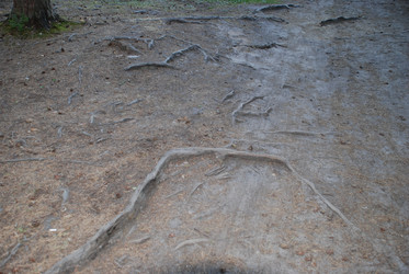 Similar image 21423978