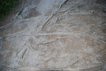 Similar image 21423980