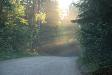 Similar image 21423981