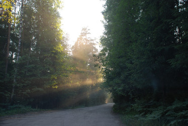 Similar image 21423983