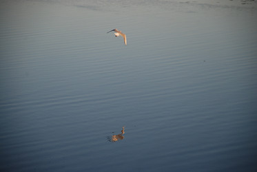 Similar image 21423985