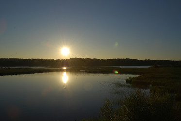 Similar image 21423987