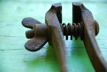 Similar image 21424196