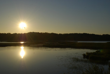 Similar image 21424197