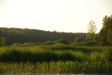 Similar image 21424204