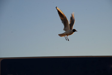 Similar image 21424212